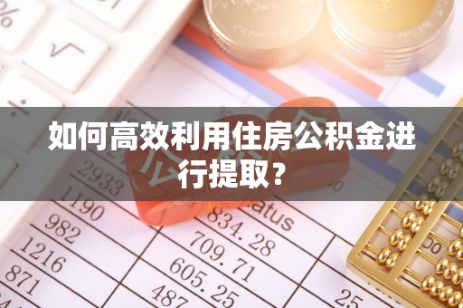 隆阳如何高效利用住房公积金进行提取？