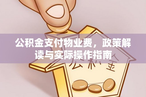 隆阳公积金支付物业费，政策解读与实际操作指南