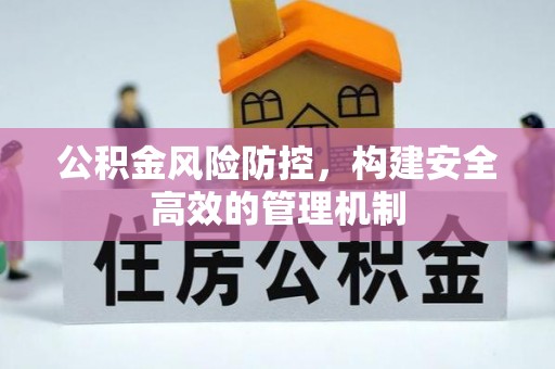 隆阳公积金风险防控，构建安全高效的管理机制