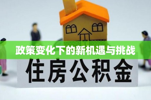 隆阳政策变化下的新机遇与挑战