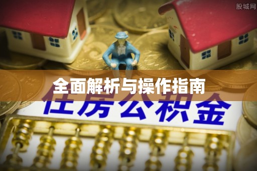 隆阳全面解析与操作指南