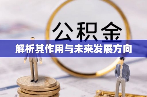 隆阳解析其作用与未来发展方向