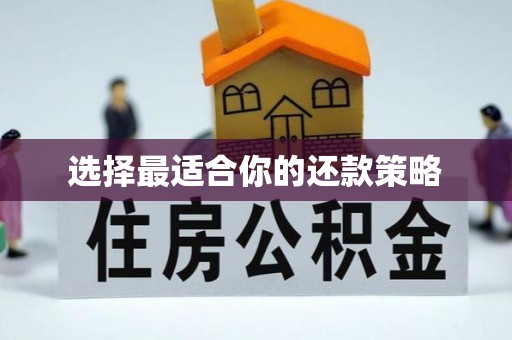 隆阳选择最适合你的还款策略