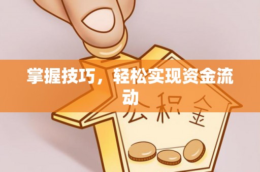 隆阳掌握技巧，轻松实现资金流动