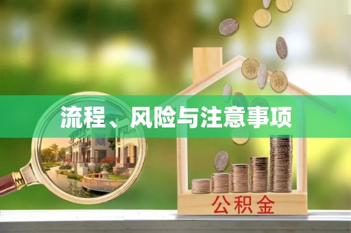 隆阳流程、风险与注意事项