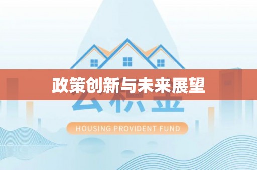 隆阳政策创新与未来展望
