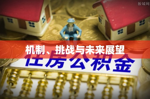 隆阳机制、挑战与未来展望